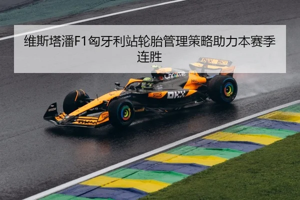 维斯塔潘F1匈牙利站轮胎管理策略助力本赛季连胜