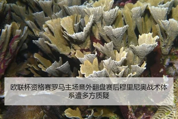 ou-lian-bei-zi-ge-sai-luo-ma-zhu-chang-yi-wai-fan-pan-sai-hou-mu-li-ni-ao-zhan-shu-ti-xi-zao-duo-fang-zhi-yi-2-897.jpg