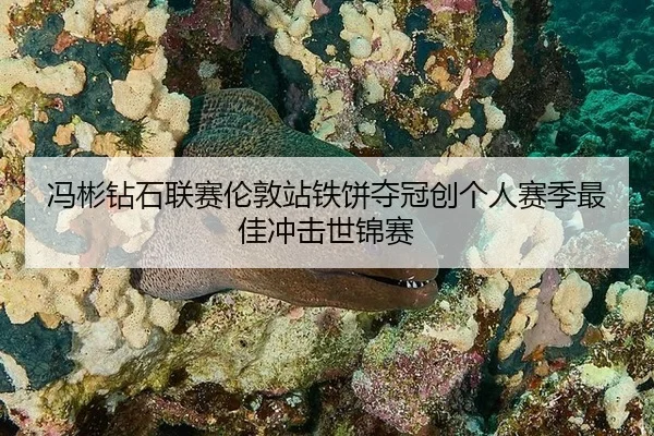 feng-bin-zuan-shi-lian-sai-lun-dun-zhan-tie-bing-duo-guan-chuang-ge-ren-sai-ji-zui-jia-chong-ji-shi-jin-sai-2-279.jpg