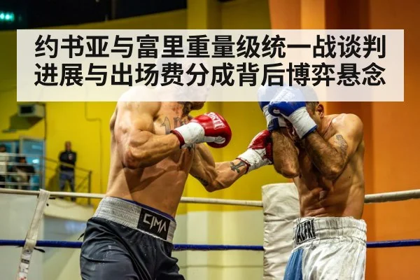 约书亚与富里重量级统一战谈判进展与出场费分成背后博弈悬念