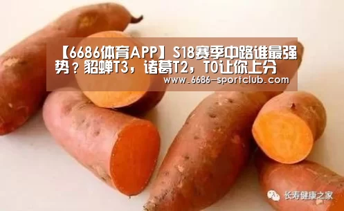 6686娱乐平台