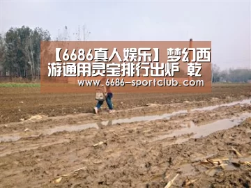 【6686真人娱乐】梦幻西游通用灵宝排行出炉 乾坤五行卷居首