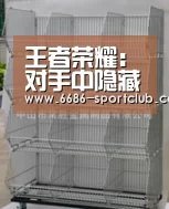 王者荣耀:对手中隐藏“超强人机”,回看才发现端倪,比外挂还强_6686体育APP(图2) 6686登录入口